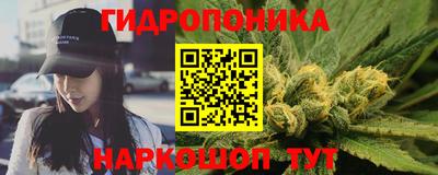 спиды Камышлов