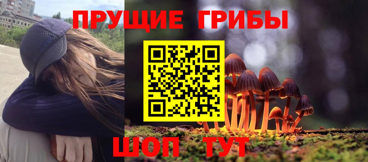 Галлюциногенные грибы мицелий Лесозаводск