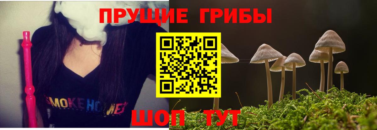 Галлюциногенные грибы Cubensis  Вход с VPN  Лесозаводск 
